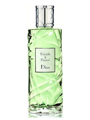 Cruise Collection Escale a Parati Dior для мужчин и 